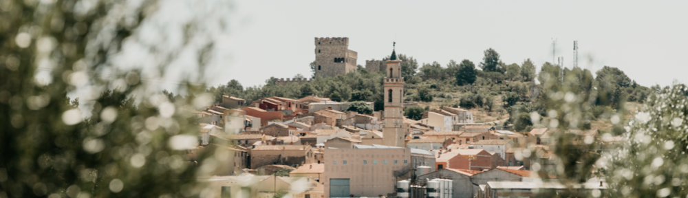 Parròquies del Mig Gaià