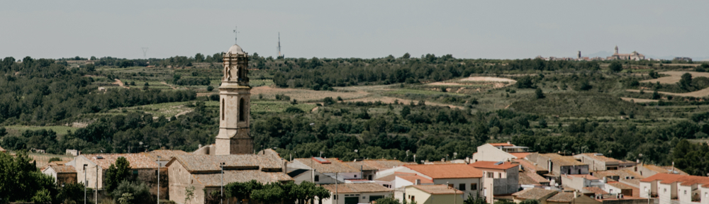 Parròquies del Mig Gaià