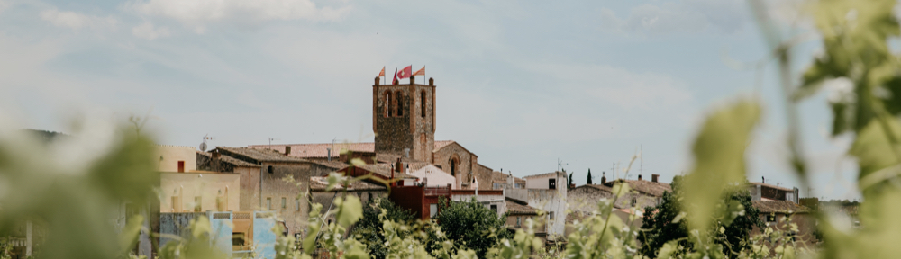 Parròquies del Mig Gaià