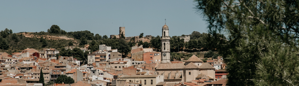 Parròquies del Mig Gaià